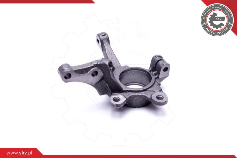Steering Knuckle, wheel suspension