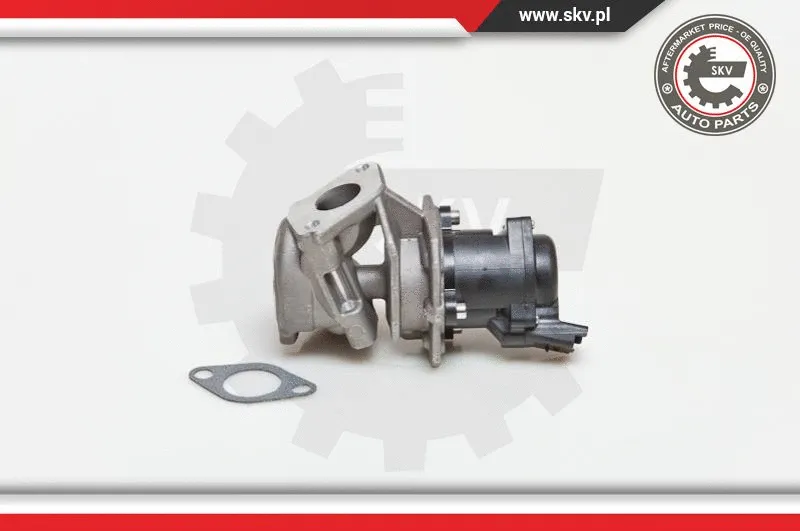 EGR Valve
