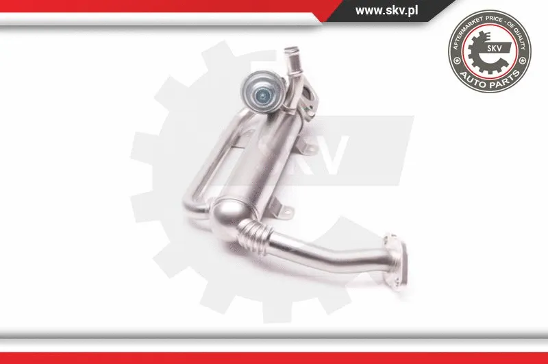 EGR Valve