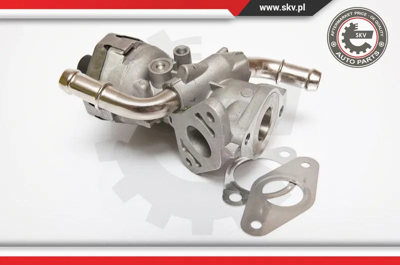EGR Valve (14SKV044)