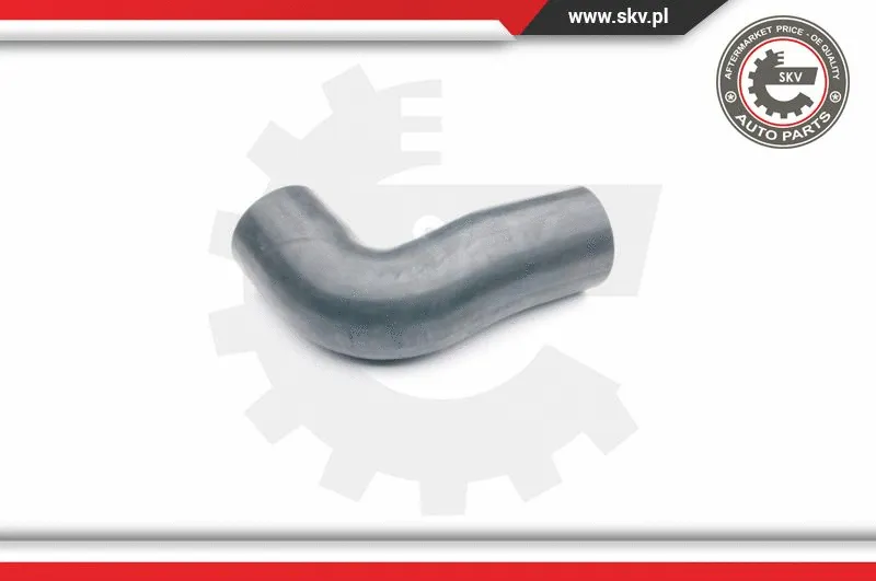 Charge Air Hose (24SKV117)