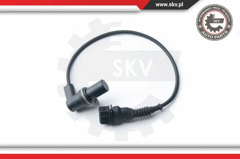 Sensor, camshaft position (17SKV239)