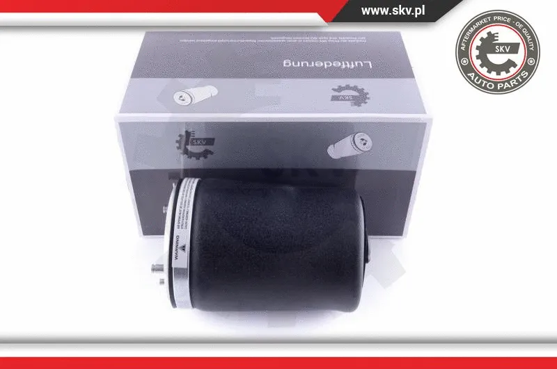 Air Spring, suspension (58SKV002)