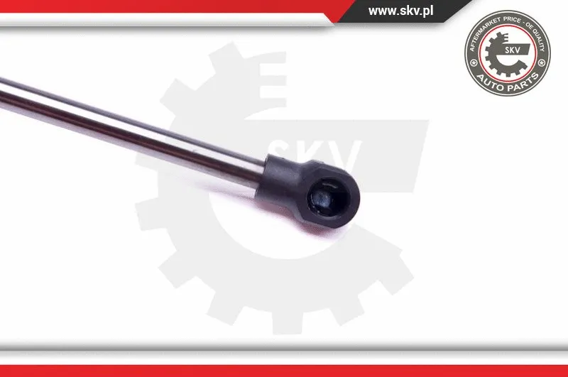 Gas Spring, boot/cargo area