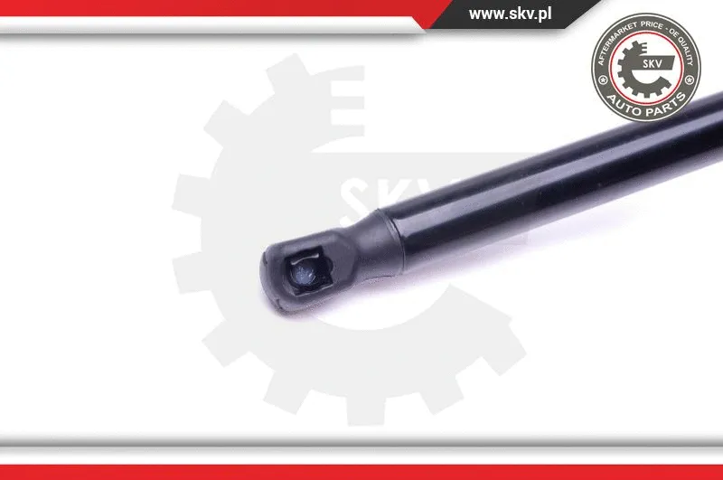 Gas Spring, boot/cargo area