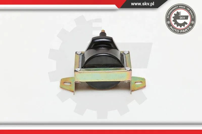 Ignition Coil (03SKV119)