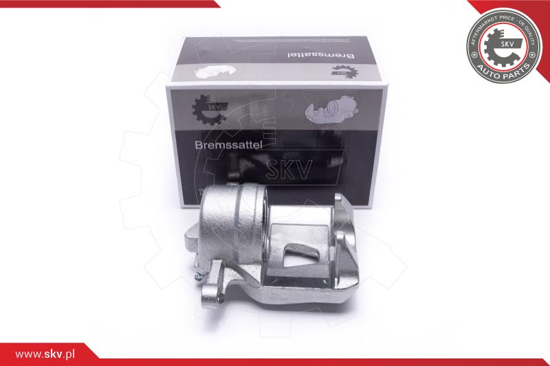 Brake Caliper (42SKV792)