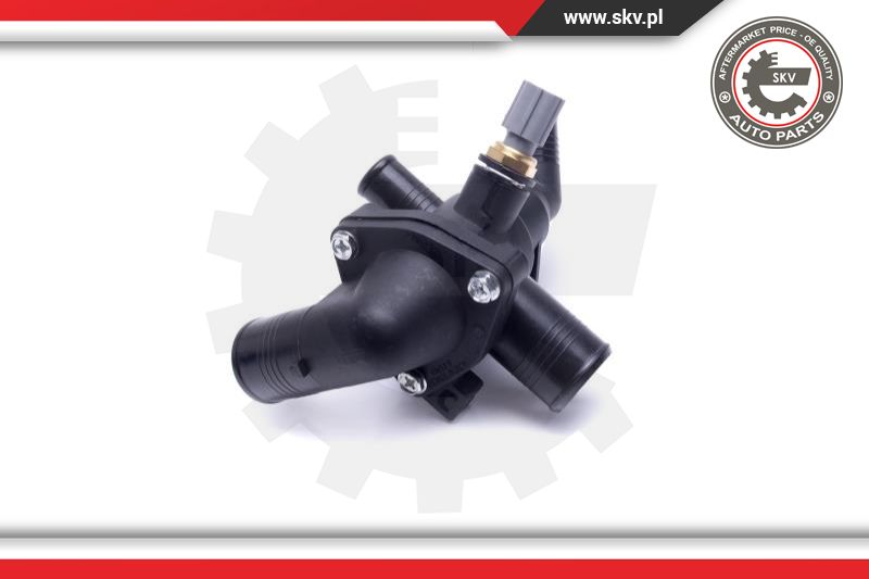 Thermostat, coolant