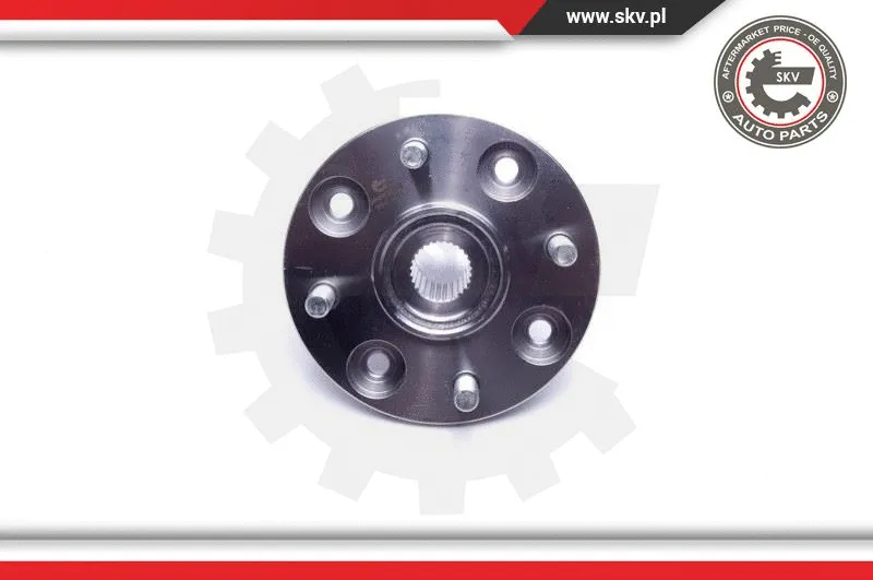 Wheel Bearing Kit
