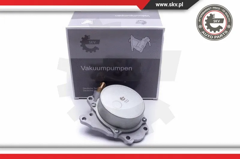 Vacuum Pump, braking system (18SKV041)