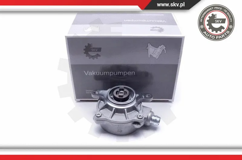 Vacuum Pump, braking system (18SKV048)