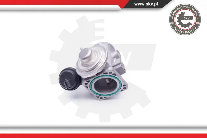 EGR Valve