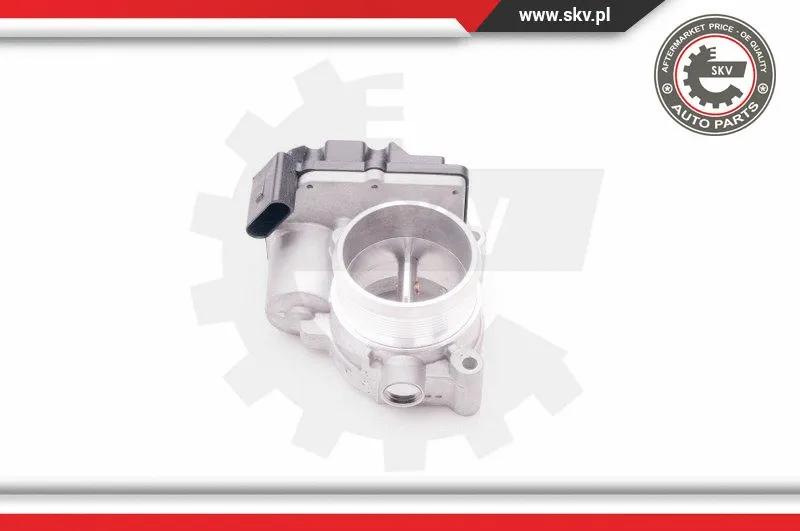 Throttle Body
