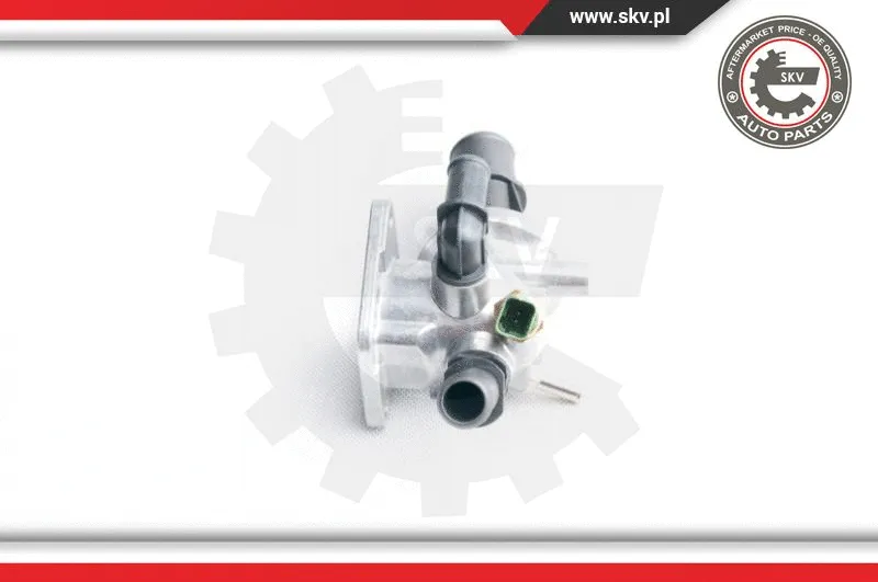 Thermostat, coolant