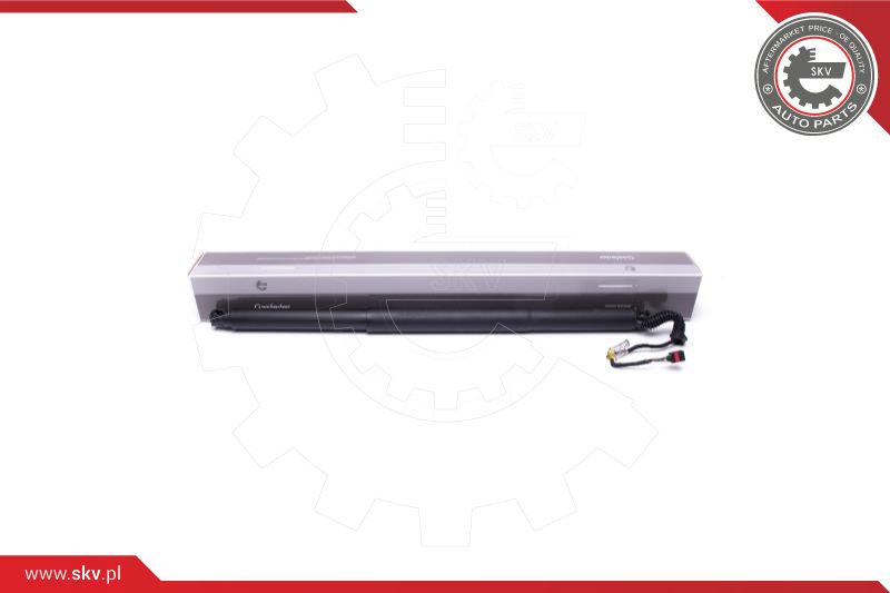 Electric Motor, tailgate (52SKV944)