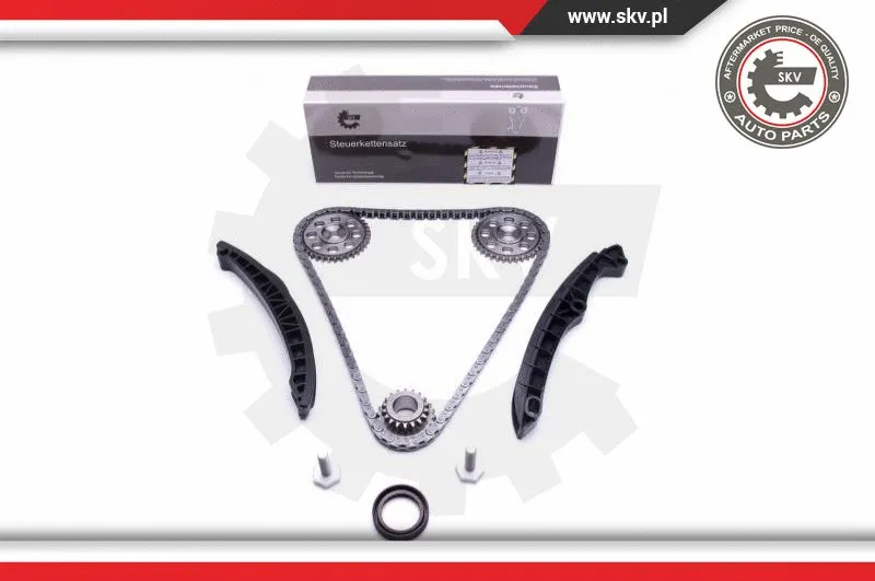 Timing Chain Kit (21SKV233)