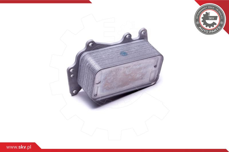 Oil Cooler, engine oil