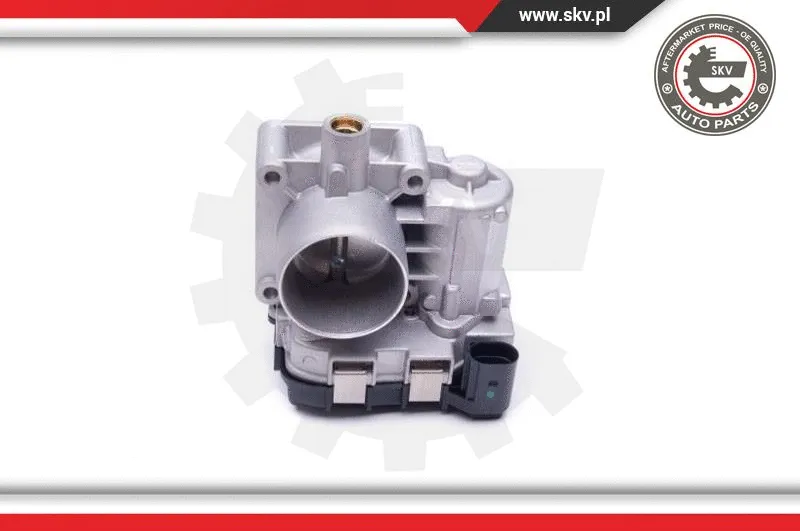 Throttle Body