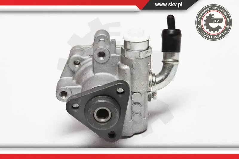 Hydraulic Pump, steering (10SKV075)
