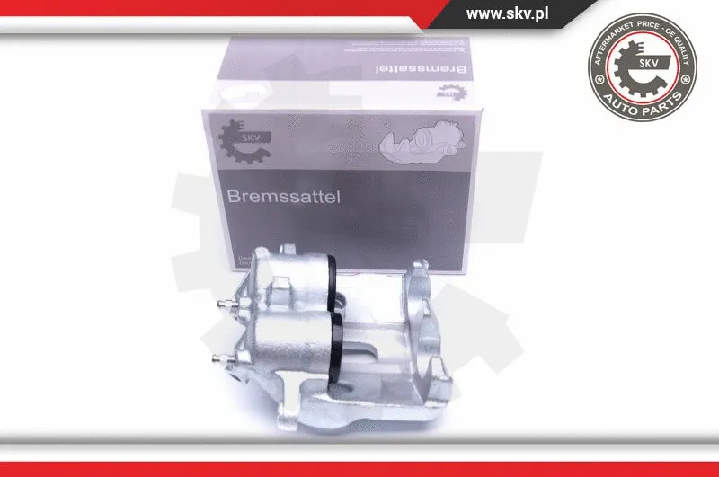 Brake Caliper (42SKV721)