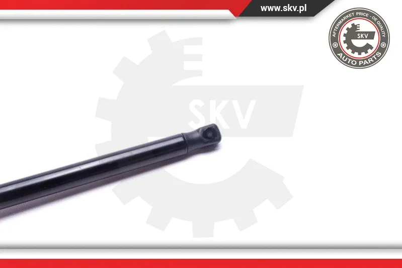 Gas Spring, bonnet