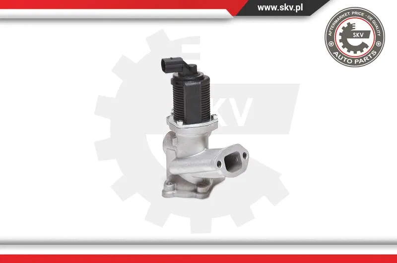 EGR Valve