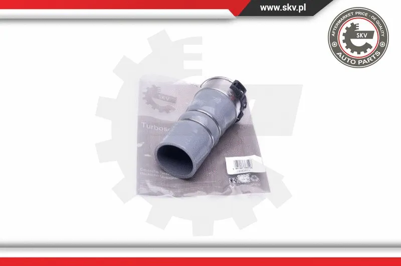Charge Air Hose (24SKV872)