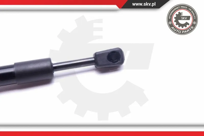 Gas Spring, boot/cargo area