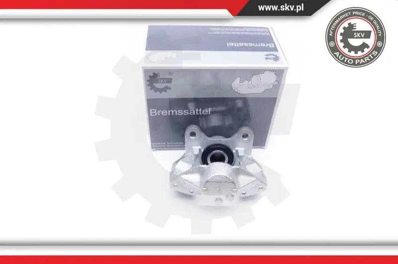 Brake Caliper (42SKV014)