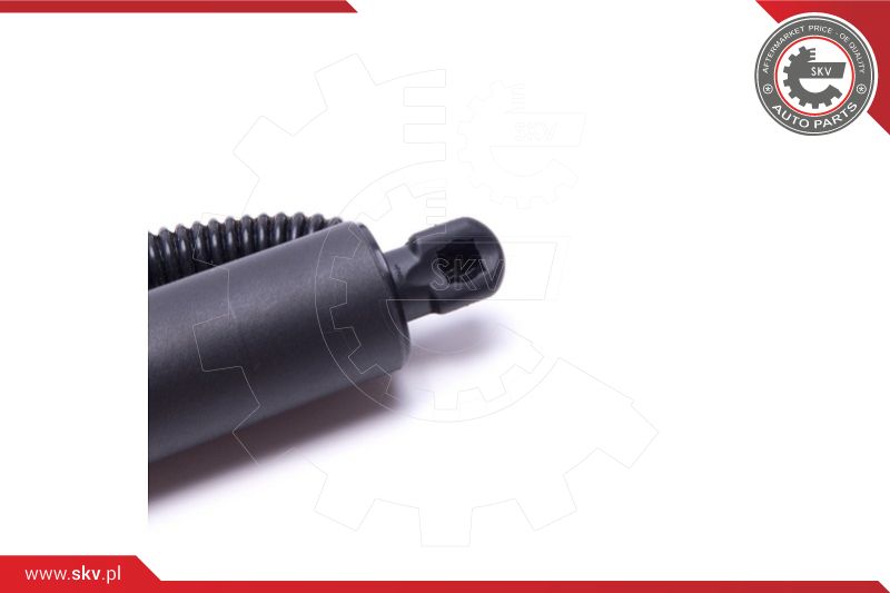 Electric Motor, tailgate