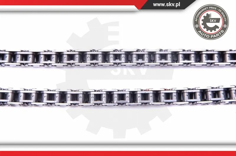 Timing Chain Kit