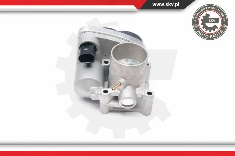 Throttle Body
