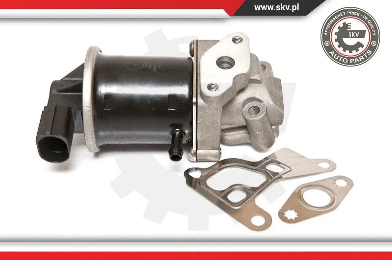 EGR Valve