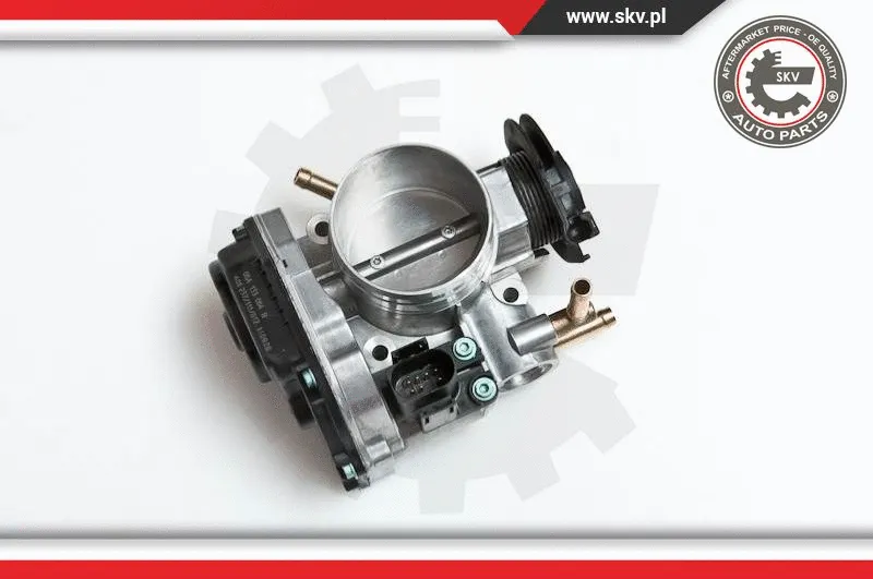 Throttle Body (12SKV036)