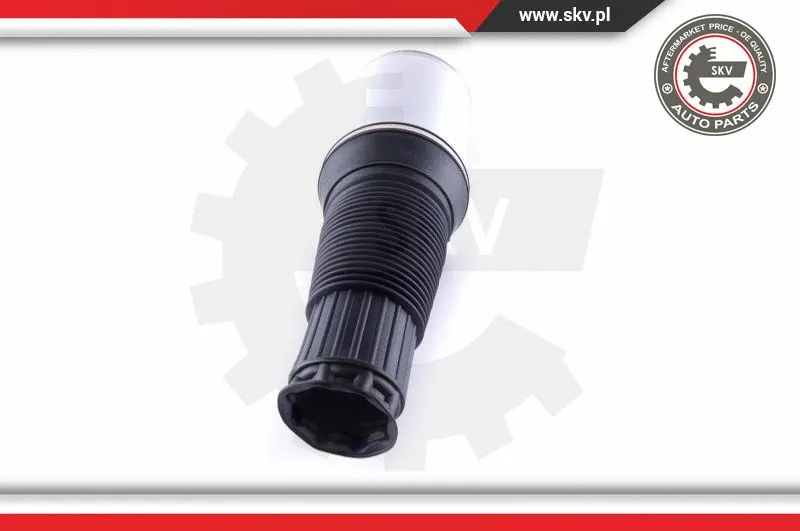 Air Spring, suspension