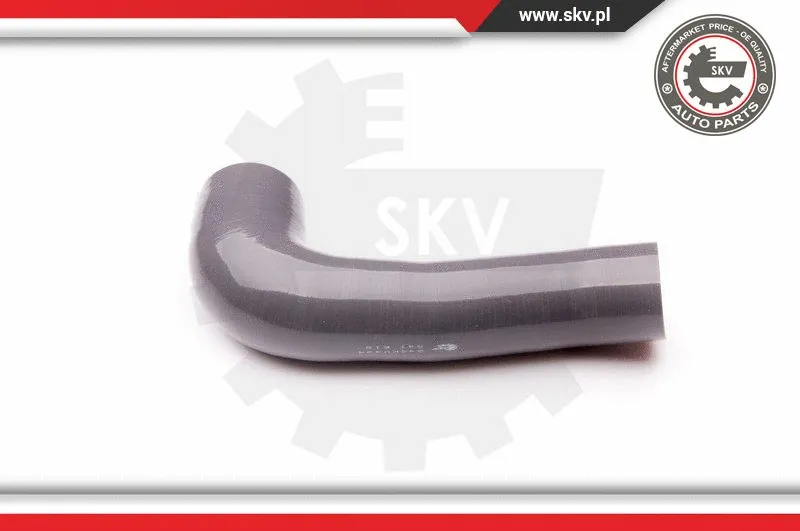 Charge Air Hose (24SKV424)