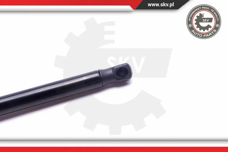 Gas Spring, boot/cargo area