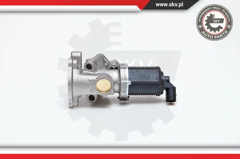 EGR Valve