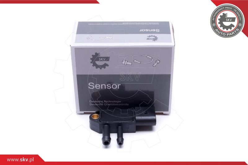 Sensor, exhaust pressure (17SKV781)