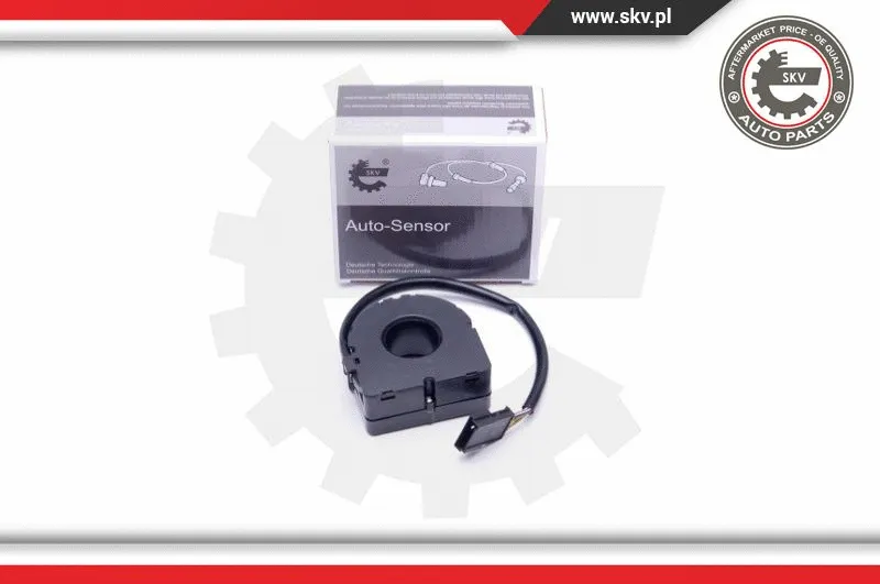 Steering Angle Sensor (17SKV472)
