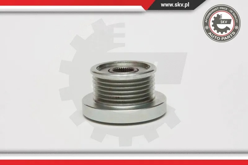 Alternator Freewheel Clutch