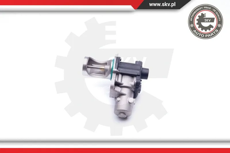 EGR Valve (14SKV172)