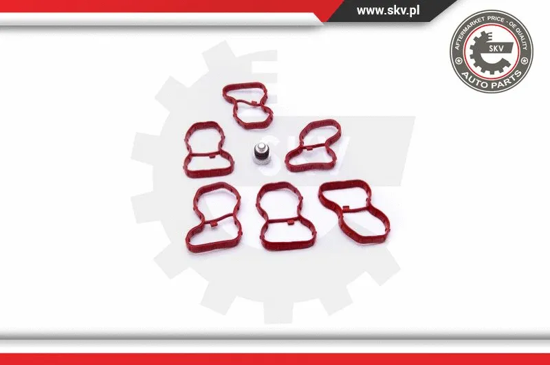 Repair Kit, intake manifold module