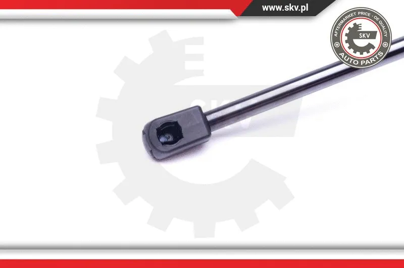 Gas Spring, boot/cargo area