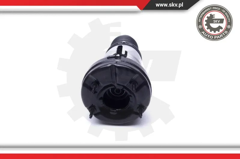 Air Suspension Strut