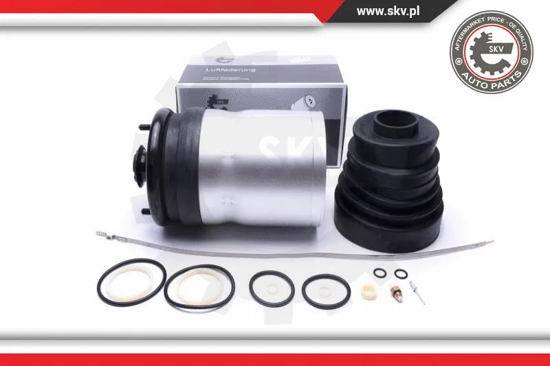 Air Suspension Strut (58SKV059)