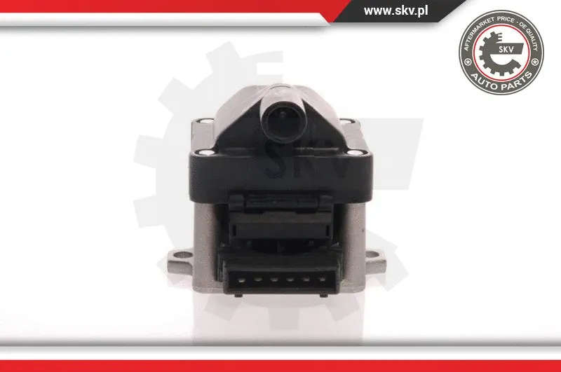 Ignition Coil (03SKV006)