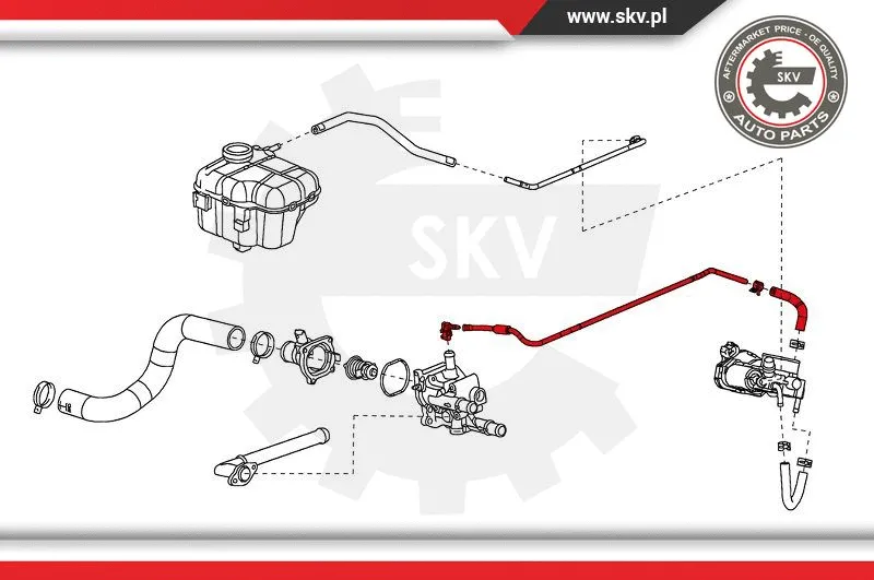 Fuel Line
