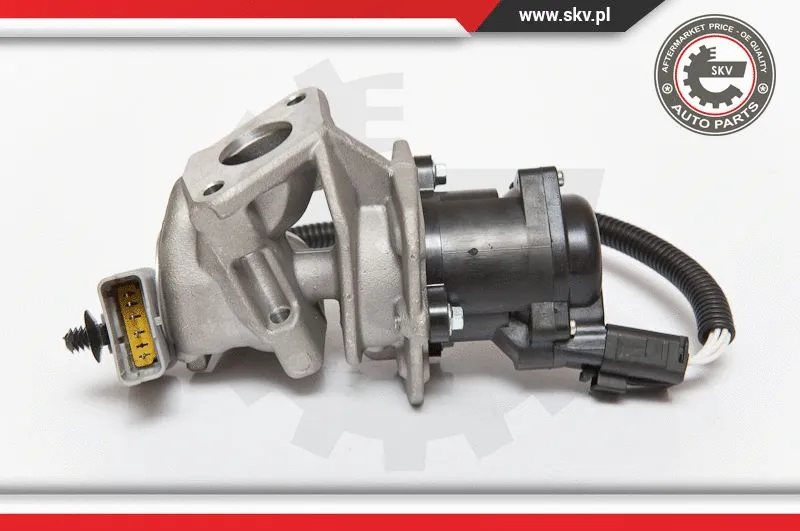 EGR Valve
