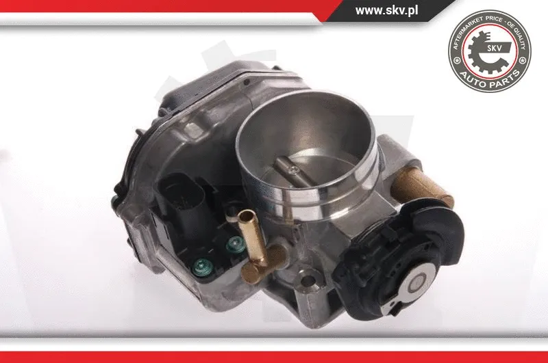 Throttle Body (12SKV016)